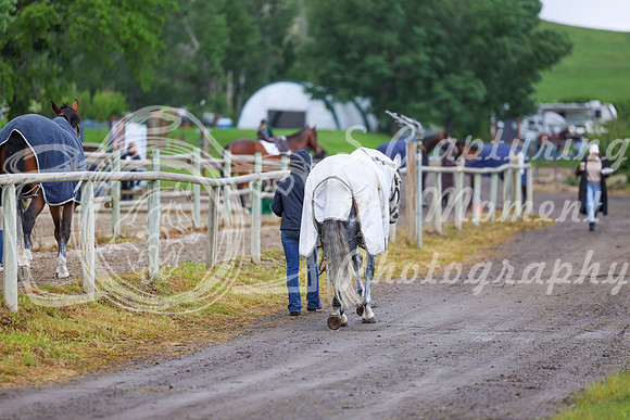 01615 - Shea - 2026 June Classic I - Friday June 12th