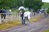 01617 - Shea - 2026 June Classic I - Friday June 12th