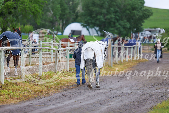 01617 - Shea - 2026 June Classic I - Friday June 12th