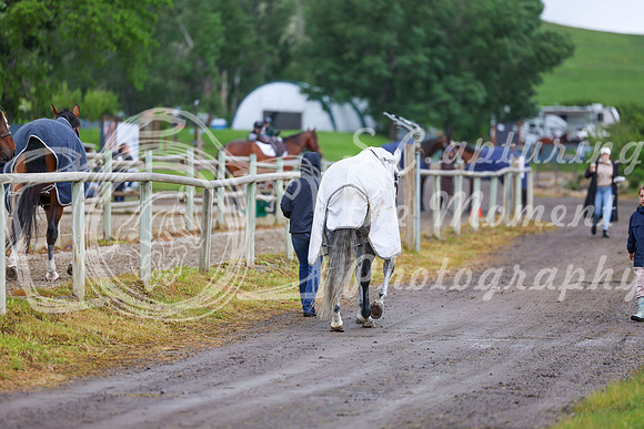 01619 - Shea - 2026 June Classic I - Friday June 12th