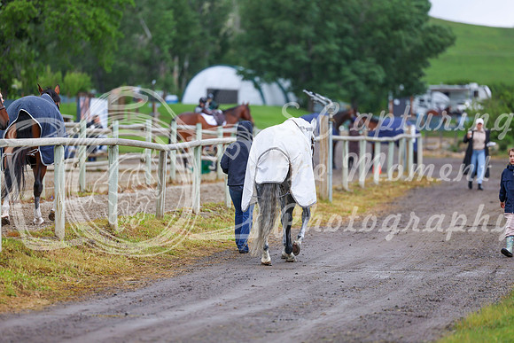 01618 - Shea - 2026 June Classic I - Friday June 12th