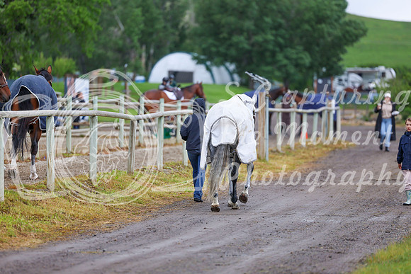 01621 - Shea - 2026 June Classic I - Friday June 12th