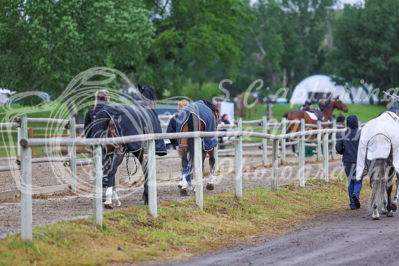 01622 - Shea - 2026 June Classic I - Friday June 12th