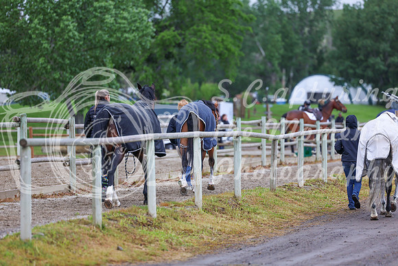 01623 - Shea - 2026 June Classic I - Friday June 12th