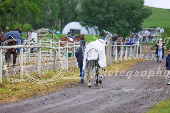 01620 - Shea - 2026 June Classic I - Friday June 12th