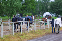 01625 - Shea - 2026 June Classic I - Friday June 12th