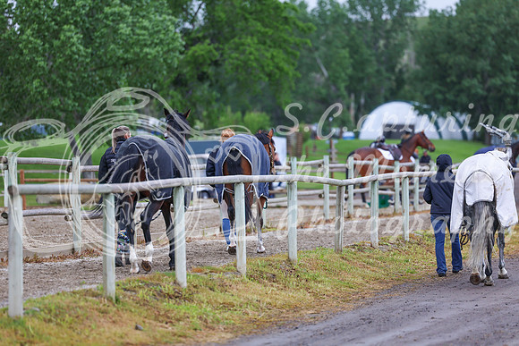 01625 - Shea - 2026 June Classic I - Friday June 12th