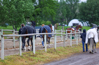 01626 - Shea - 2026 June Classic I - Friday June 12th