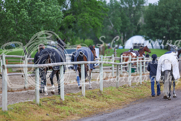 01626 - Shea - 2026 June Classic I - Friday June 12th