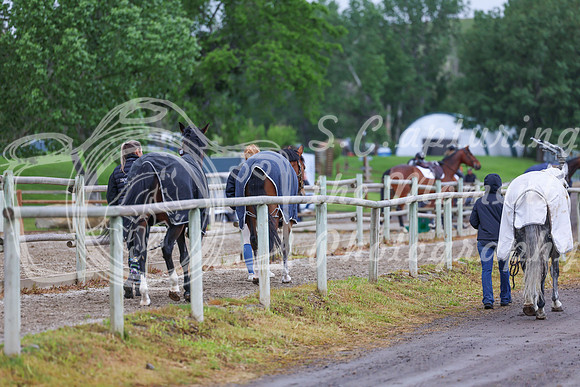01627 - Shea - 2026 June Classic I - Friday June 12th