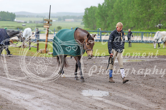 01695 - Shea - 2026 June Classic I - Friday June 12th
