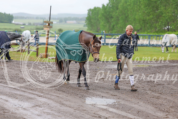 01699 - Shea - 2026 June Classic I - Friday June 12th