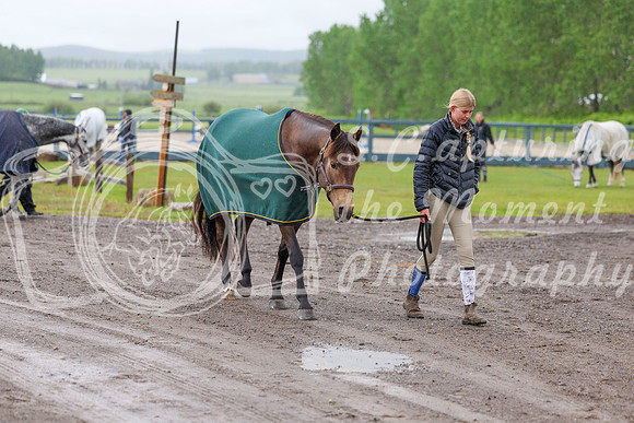 01700 - Shea - 2026 June Classic I - Friday June 12th
