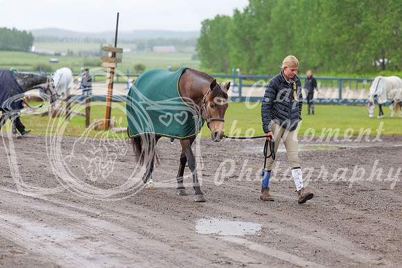 01697 - Shea - 2026 June Classic I - Friday June 12th