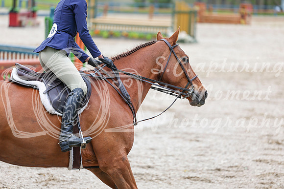 02925 - Shea - 2026 June Classic I - Friday June 12th