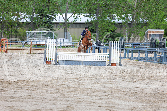 02931 - Shea - 2026 June Classic I - Friday June 12th