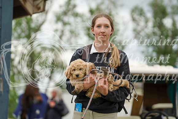 05500 - Alina - 2026 June Classic I - Friday June 12th