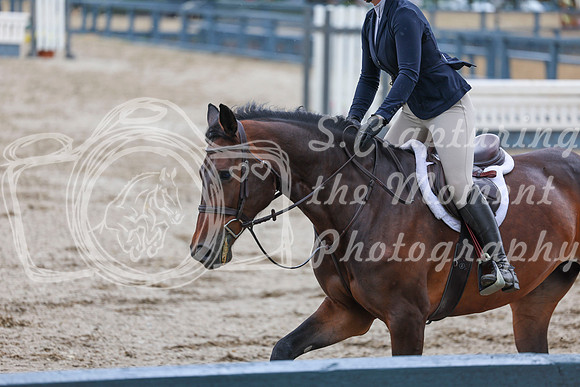 02599 - Shea - 2026 June Classic I - Friday June 12th