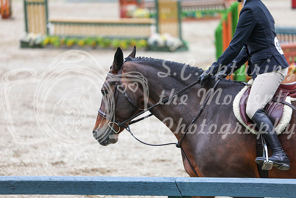 02774 - Shea - 2026 June Classic I - Friday June 12th