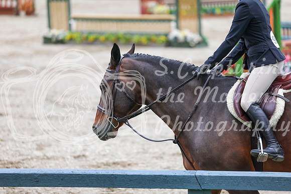 02775 - Shea - 2026 June Classic I - Friday June 12th