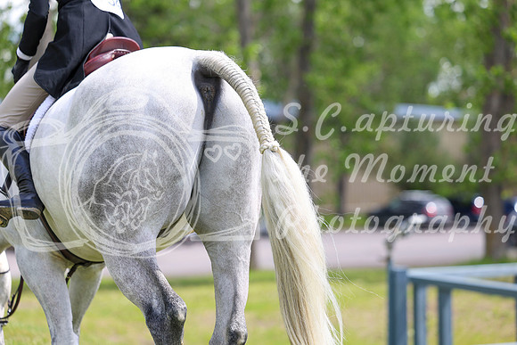 08508 - Shea - 2026 June Classic I - Friday June 12th