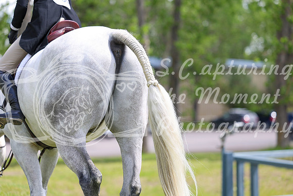 08509 - Shea - 2026 June Classic I - Friday June 12th