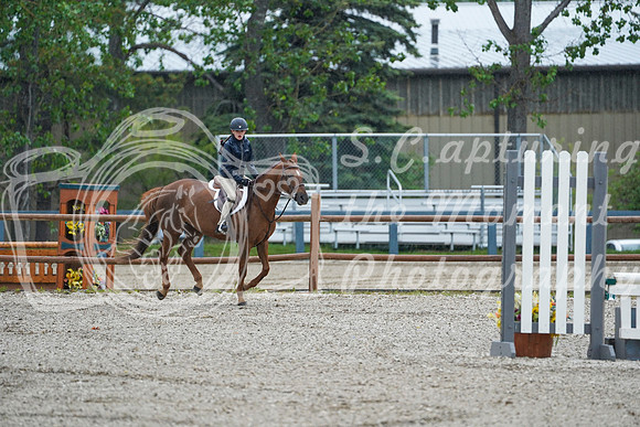 00293 - Alina - 2026 June Classic I - Friday June 12th