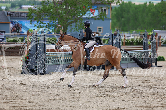 08926 - Shea - 2026 June Classic I - Friday June 12th