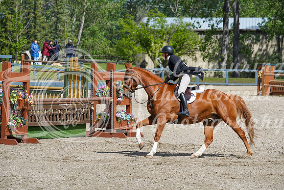 08211 - Alina - 2026 June Classic I - Friday June 12th