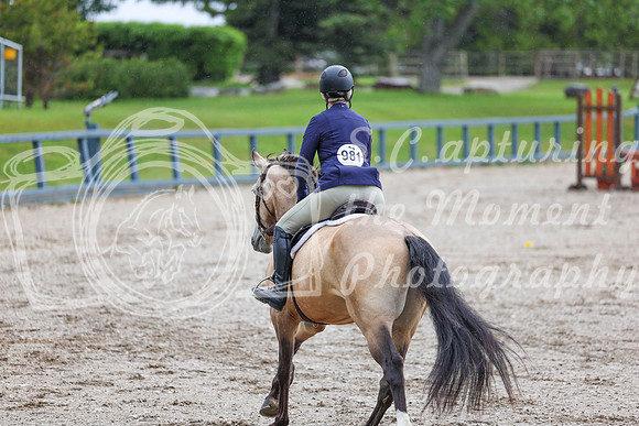 02234 - Shea - 2026 June Classic I - Friday June 12th