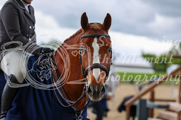 10048 - Shea - 2026 June Classic I - Friday June 12th