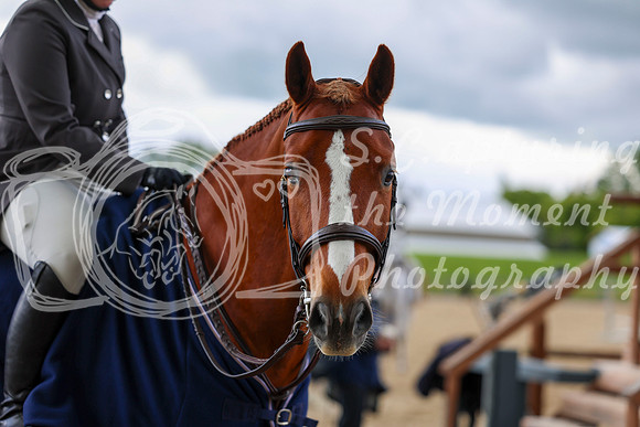 10049 - Shea - 2026 June Classic I - Friday June 12th