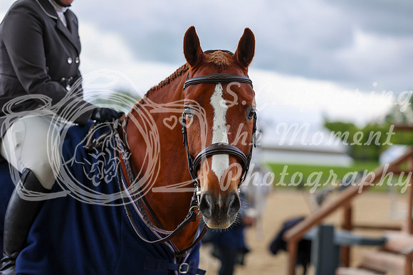 10051 - Shea - 2026 June Classic I - Friday June 12th