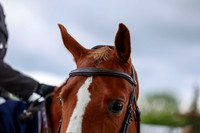 10054 - Shea - 2026 June Classic I - Friday June 12th