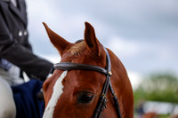 10055 - Shea - 2026 June Classic I - Friday June 12th