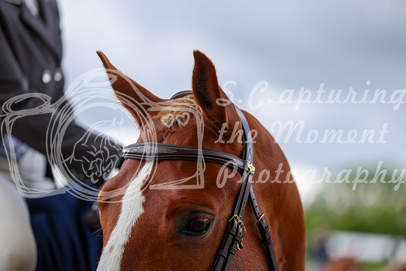 10055 - Shea - 2026 June Classic I - Friday June 12th