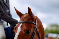 10056 - Shea - 2026 June Classic I - Friday June 12th
