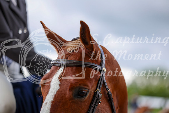 10056 - Shea - 2026 June Classic I - Friday June 12th