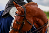 10058 - Shea - 2026 June Classic I - Friday June 12th