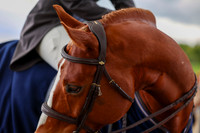 10059 - Shea - 2026 June Classic I - Friday June 12th