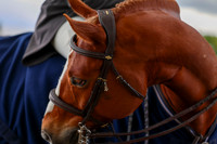 10061 - Shea - 2026 June Classic I - Friday June 12th