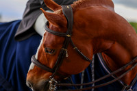 10062 - Shea - 2026 June Classic I - Friday June 12th
