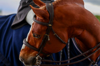 10064 - Shea - 2026 June Classic I - Friday June 12th
