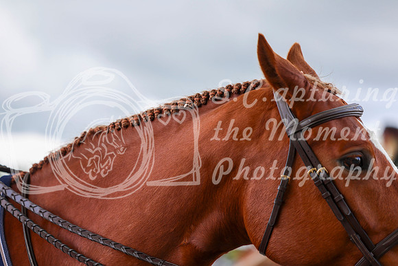 10070 - Shea - 2026 June Classic I - Friday June 12th