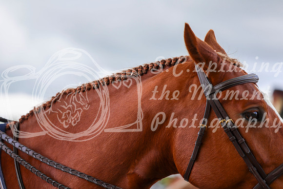 10071 - Shea - 2026 June Classic I - Friday June 12th