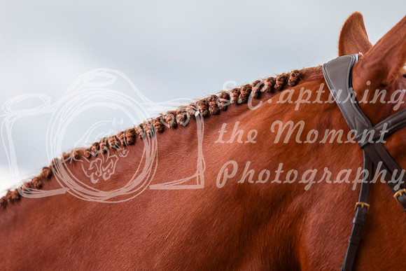 10073 - Shea - 2026 June Classic I - Friday June 12th
