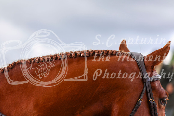 10075 - Shea - 2026 June Classic I - Friday June 12th