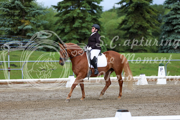 2025 - Dressage Festival - Sunday July 6th - 11307