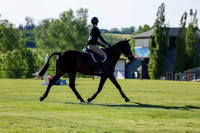 01259 - Shea - 2026 June Classic I - Saturday June 13th