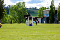 02637 - Shea - 2026 June Classic I - Saturday June 13th